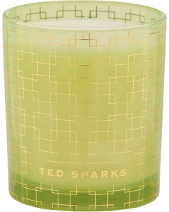 Ted Sparks Ylang - Ylang & Bamboo Demi Candle